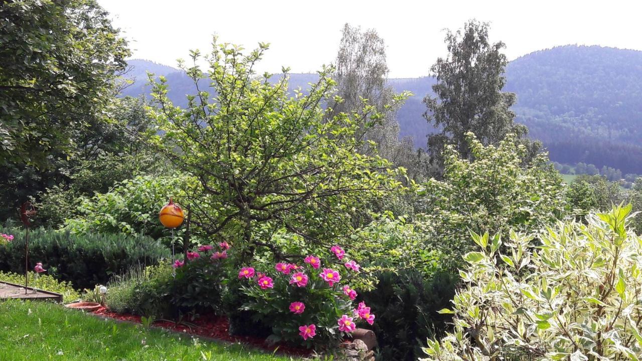 Ferienwohnung-Panoramablick-1 Bodenmais Eksteriør billede