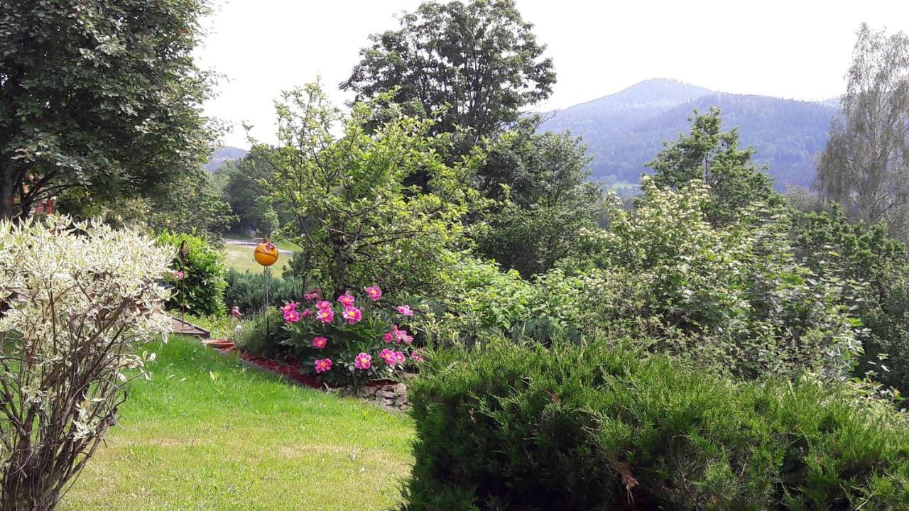 Ferienwohnung-Panoramablick-1 Bodenmais Eksteriør billede